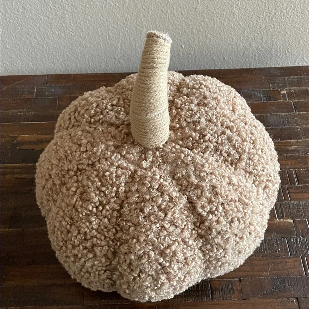 Target Textured Beige Pumpkin Decor